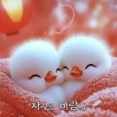 코리아스넥 이미지