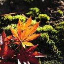 신선권역 이미지