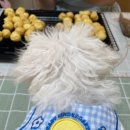 네발친구들 이미지