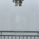 (주)이마트 다산점 | 2024년 11월 둘째주 기록 (일상, 집밥, 다이소...무생채, 이마트 버거, 이마트 허니윙봉, 다산은행나무...