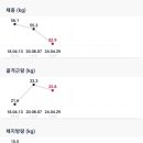 자연식단 이미지