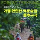 용추스케치 이미지