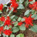 관상과 심상 이미지