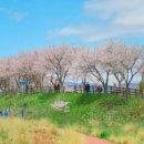 양평생활문화축제 이미지