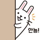 도야족발보쌈(하당점) 이미지