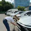 강서구청 가양동별관 이미지