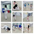 NBT 하이라이트 태권도장 이미지