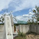 대조1리 이미지