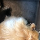 견우농장 이미지