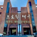 제주브로딕 | 브로딕 제주 내돈내산 솔직방문후기(제주도 감성숙소,펜션,제주도여행)
