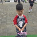 인천광역시 인천아시아드주경기장 기타 | 🎈 인천아시아드 경기장 어린이날 아동축제 후기 🎈