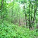 하늘빛 바다 이미지