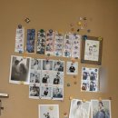 수원-1719 | [웨딩촬영]수원 비스케치 스튜디오 촬영후기