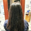 준오헤어 목동41타워점 : 태은 디자이너 히피펌 후기