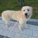 회원동225 이미지