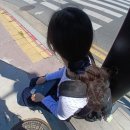 도양에너지 | 2026 상반기 결산