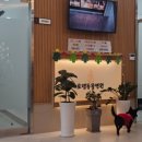 로뎀동물병원 이미지