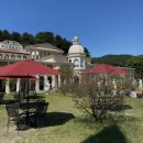 복똥이강아지 이미지