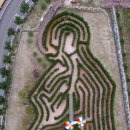 미로메디컬 이미지