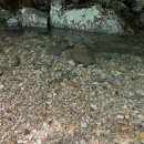 참빛자연농원민박 이미지