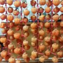 청수농원 이미지