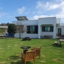 스테이 도노 이미지