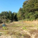 명석농장 이미지