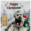 환해지개 이미지