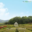 보림제다 이미지