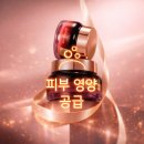 웰스코어(WEALTH CORE) | 웰런스 어드밴스드 코어-쉘 너리싱 크림
