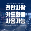 팀스 짐 이미지