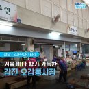 강진 오감통 이미지