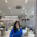 마이미플레르 이미지