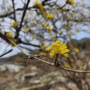 상천리 마을회관 이미지