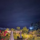 평원애견 이미지