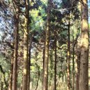 기성목장 이미지