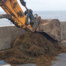 자장면시키신분 이미지