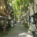 보정동 카페거리 이미지