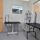 젤리펫살롱 이미지