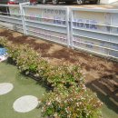 창의나라어린이집 이미지