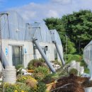 태일농장 이미지