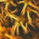 청명연합이비인후과의원 이미지