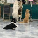 커멍커멍 이미지