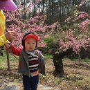 최종화농장 이미지