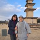 비사벌약국 이미지