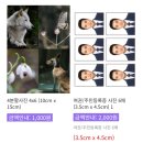 프린팅휴대폰 이미지
