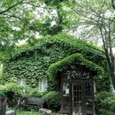 청춘-숲속의 섬,  이미지