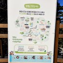 철원 한탄강 주상절리길 순담~드리니 3.6km 계곡에 놓인 잔도길 산책후 순환셔틀탑승 정보