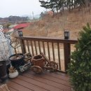 초록나무펜션 이미지