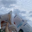 연세우유경산